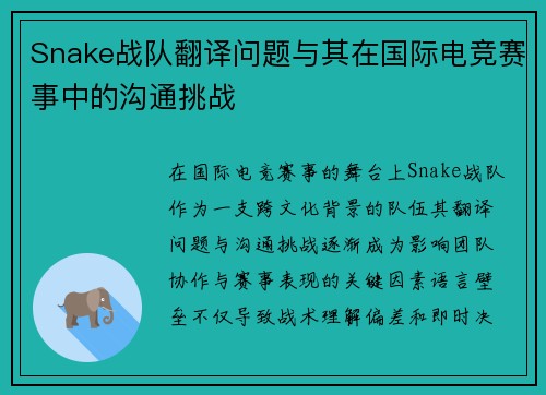 Snake战队翻译问题与其在国际电竞赛事中的沟通挑战