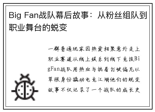 Big Fan战队幕后故事：从粉丝组队到职业舞台的蜕变